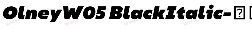 OlneyW05 BlackItalic字体转换